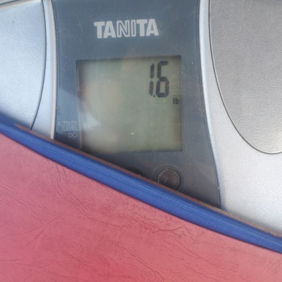 The Great Enterprise: The History of the Spanish Armada | The Folio Society 1978 - Picture 16 of 16